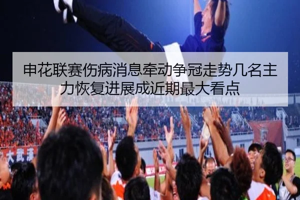 img_1781130690057_23_2_884.jpg