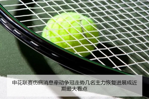 申花联赛伤病消息牵动争冠走势几名主力恢复进展成近期最大看点