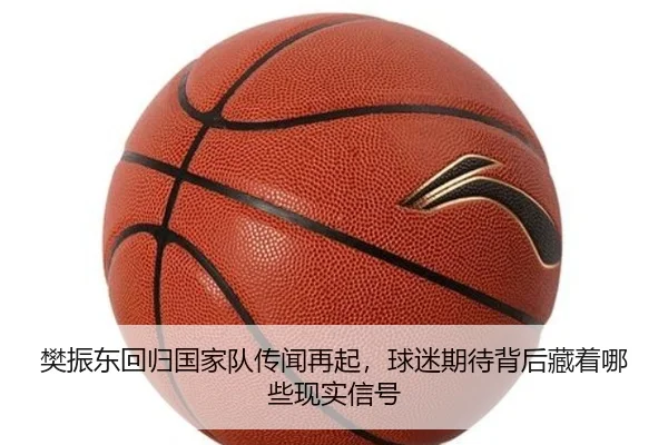 樊振东回归国家队传闻再起，球迷期待背后藏着哪些现实信号